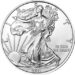 2011 American Eagle Silver 1oz Obverse USM