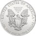 2014 American Eagle Silver 1oz Reverse USM