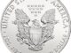 2014 American Eagle Silver 1oz Reverse USM