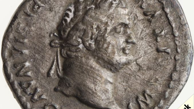 80AD Denarius Titus Winged thunderbolt Obverse 80AD Denarius Titus Winged thunderbolt Obverse