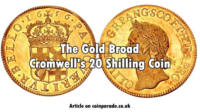 1656 Gold Broad 1656 Gold Broad