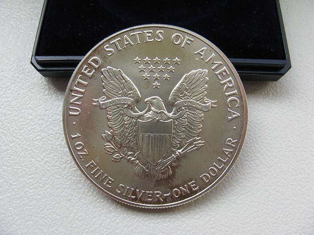 Silver Dollar